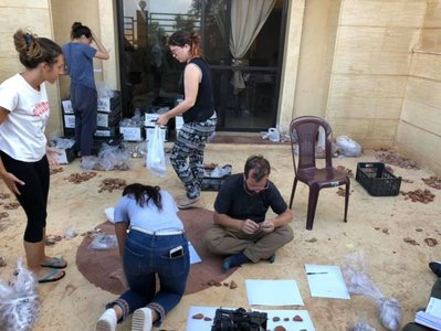 Preparazione dei materiali per il collocamento nei magazzini della Direzione delle AntichitÃ  libanesi