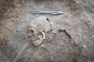 Dettaglio del cranio della sepoltura a inumazione di III mill. a.C. dal sondaggio di Tell Gomel