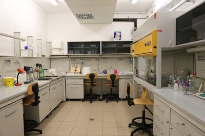 Laboratorio di batteriologia, sezione di Scienze animali e veterinarie