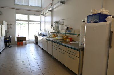 Laboratorio di immunologia, sezione di Scienze animali e veterinarie