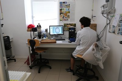 Sala microscopi, sezione di Scienze animali e veterinarie
