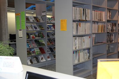 Biblioteca Scientifica e tecnologica dei Rizzi
