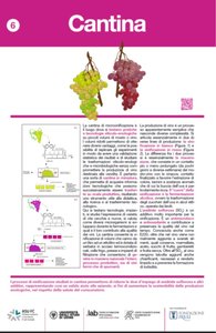 Il pannello sulla cantina