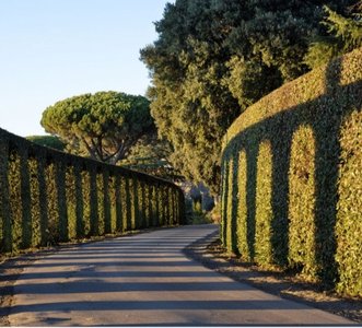 Archivio Vaticano