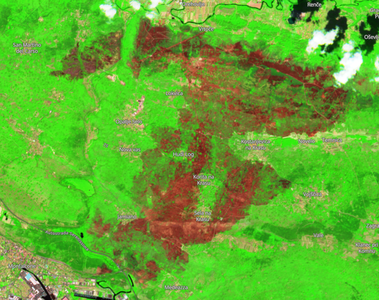 Immagine Sentinel-2 del 29 luglio che evidenzia con diversi colori lo stato della vegetazione. In marrone l'area bruciata.