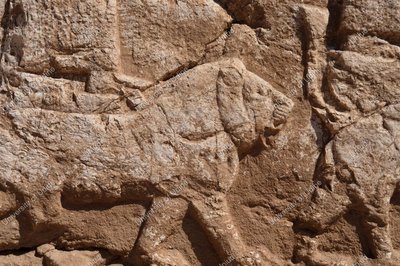 Faida, Relief No. 6, 8th-7th cent. BC (photo by Alberto Savioli for LoNAP)