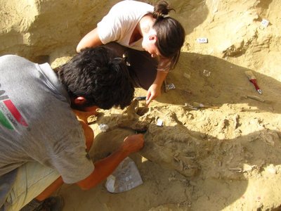 Archeologi impegnati con lo scavo di resti umani