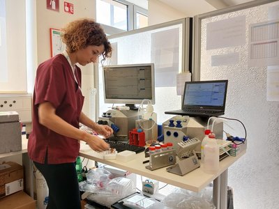 Attività in laboratorio del progetto