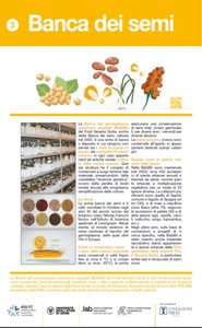Il pannello sulla banca dei semi