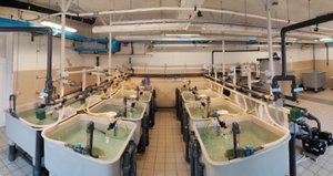 Il nuovo impianto di acquacoltura