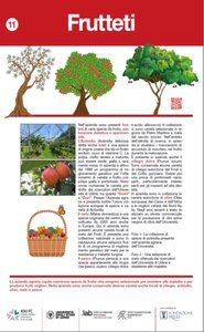 Il pannello sui frutteti