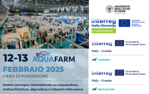 Aquafarm