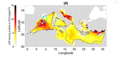 Concentrazione di microplastiche in porocinto di sedimentare nel Mediterraneo