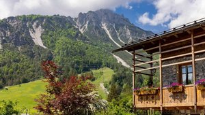 Dolomiti MS