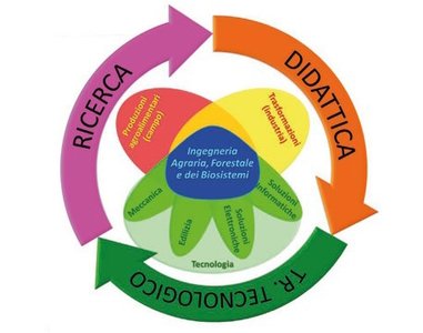 Competenze e ruoli dell’ingegneria agraria, forestale e dei biosistemi