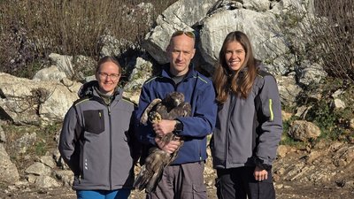 Personale sanitario del Centro di ricerca e coordinamento per il recupero della fauna selvatica