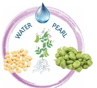 Il logo di Water pearl