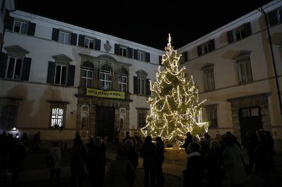 L'accensione dell'albero