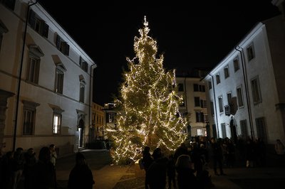 L'albero di Natale a Palazzo Florio