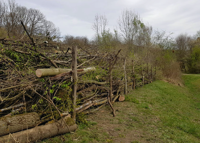 Legno morto (A.Hollerer, FH-Kärnten)