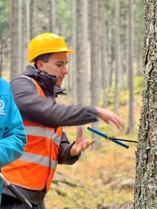 L'esperienza nella foresta di Pramosio