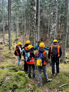 L'esperienza nella foresta di Pramosio