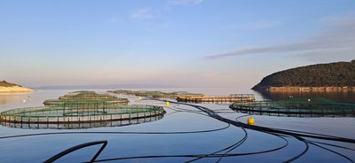 Maricoltura integrata a Budava (Croazia)