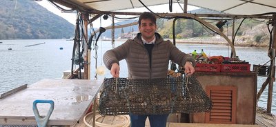 Ostriche a Lim (Croazia) raccolte da Ivan Cescon