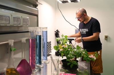Ricercatore nel Pheno Space