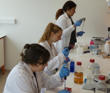 Lavoro in laboratorio