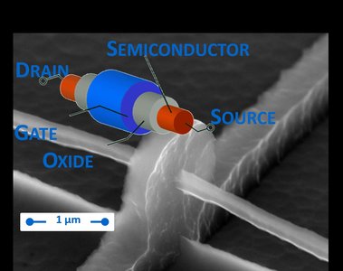 Un transistore e nanofilo. Foto al microscopio elettronico (toni di grigio) e disegno della struttura utilizzato come punto di partenza per la simulazione