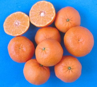 Clementine spinoso
