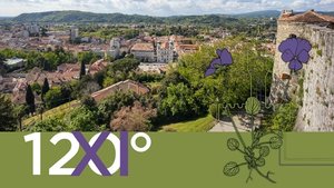 immagine_congresso-botanica-anteprima