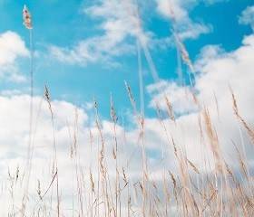 rodion-kutsaev-66573-unsplash